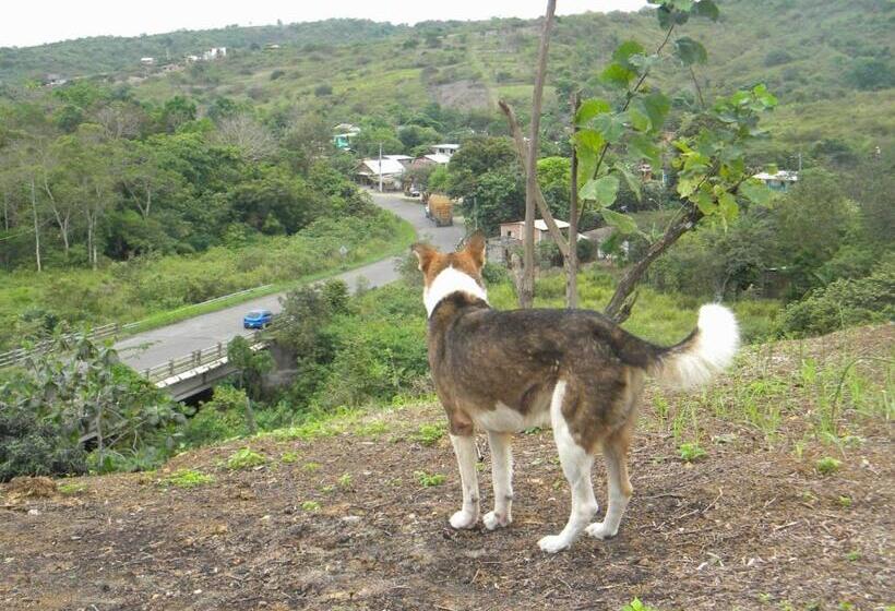 酒店 Centro Vacacional Recreasana