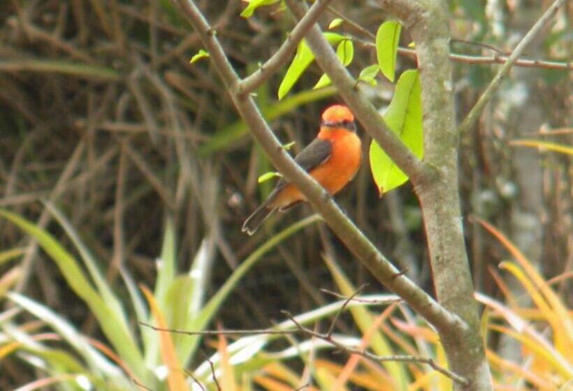 酒店 Centro Vacacional Recreasana
