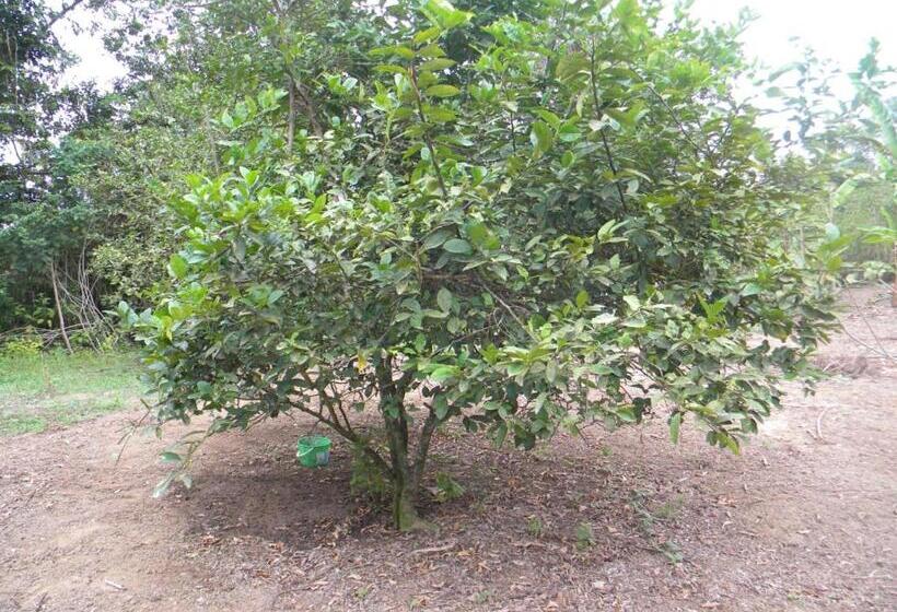 酒店 Centro Vacacional Recreasana