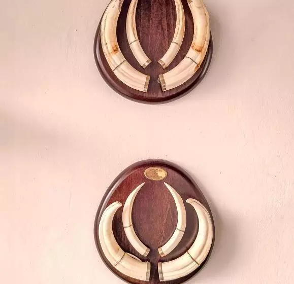 ペンション Casa Do Ginjal By Naturalegre