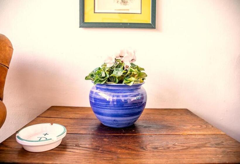 پانسیون Casa Do Ginjal By Naturalegre