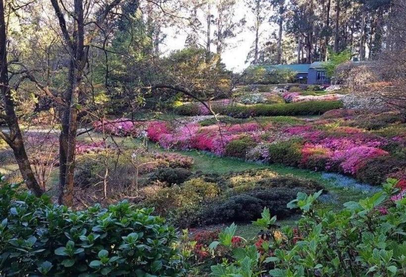 Пансион Charming Granny Flat Conveniently Located Near Knox Shopping Center