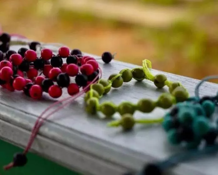 ペンション Luz Amazônia Lodge