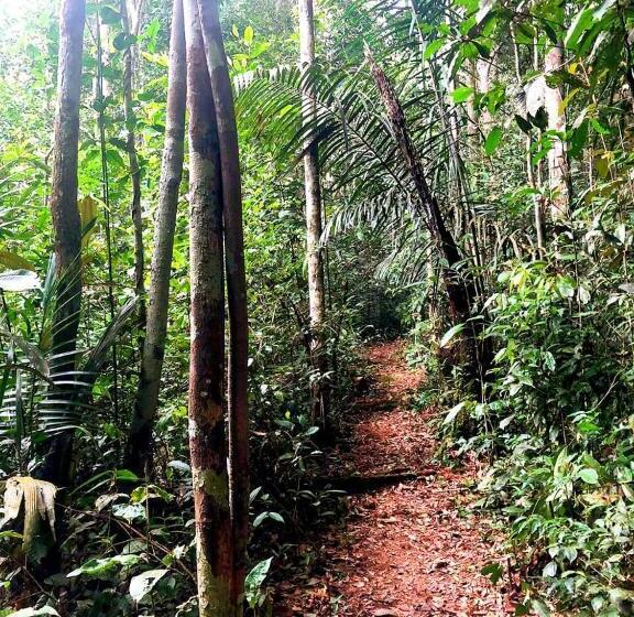 پانسیون Luz Amazônia Lodge
