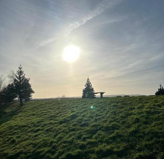 Bed and Breakfast Showhomes