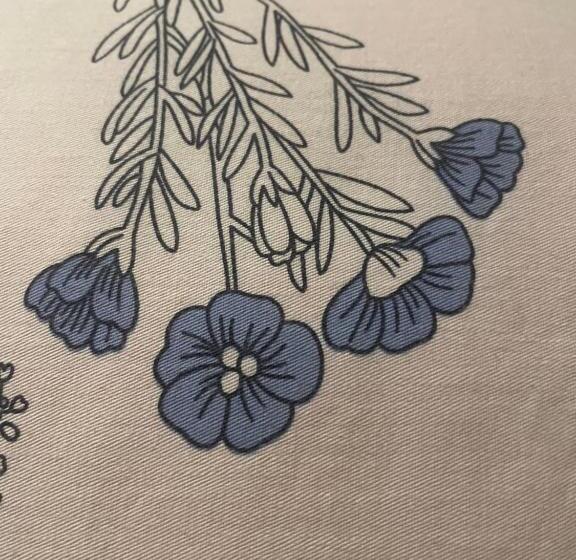 تختخواب و صبحانه Stebucklas