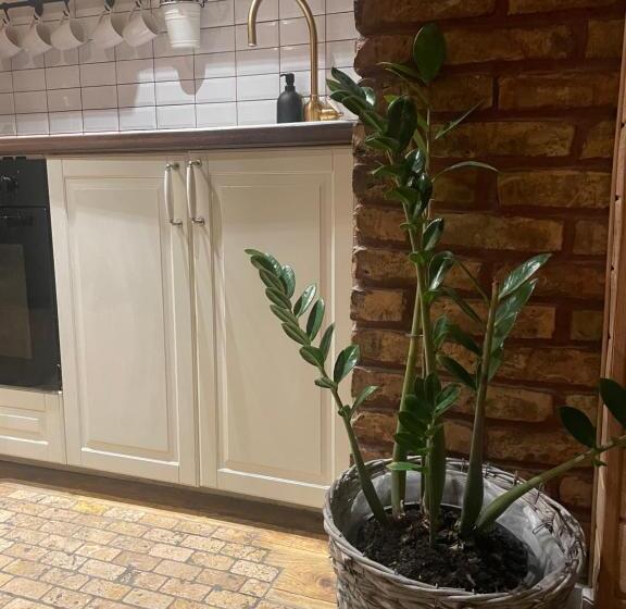 تختخواب و صبحانه Stebucklas