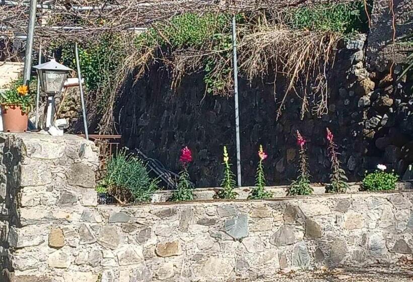 Отель Galata S Bridge Boutique