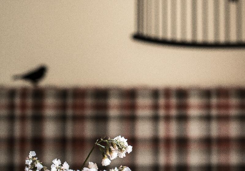 ベッドアンドブレックファースト Atalaia