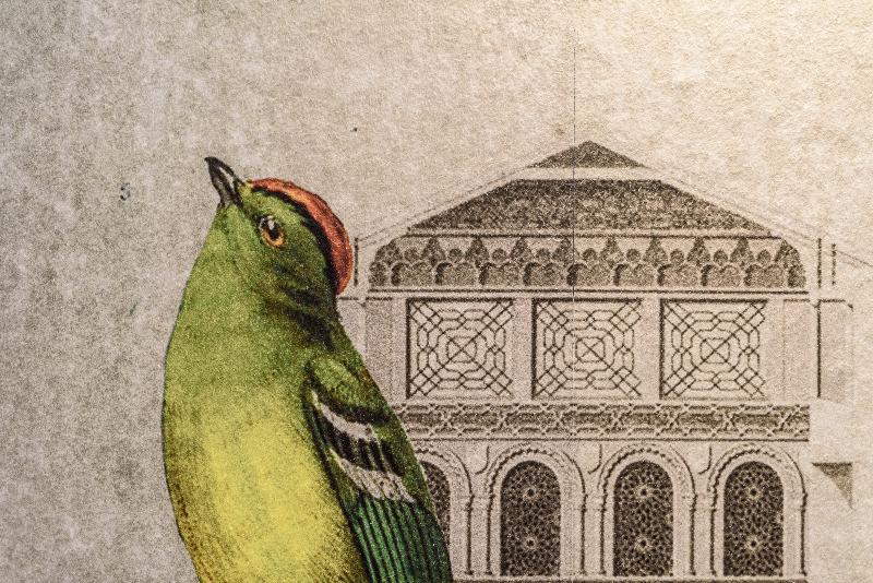 ベッドアンドブレックファースト Atalaia