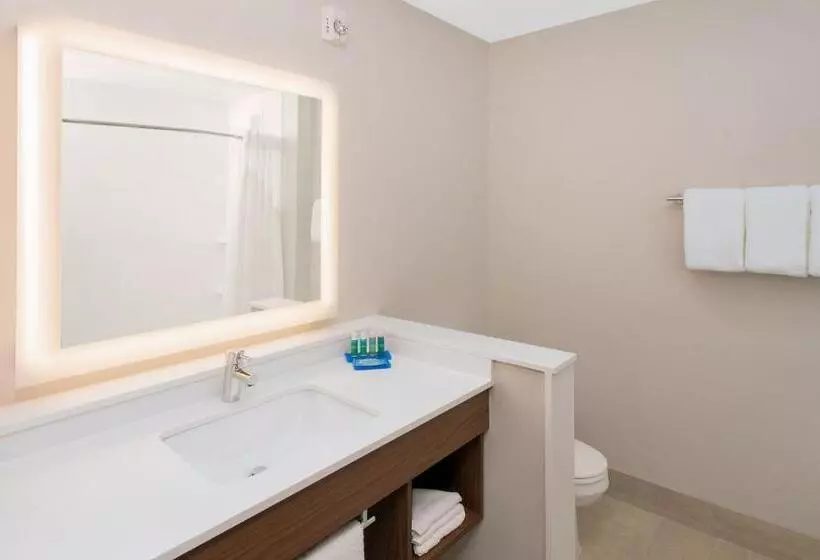 ホテル Holiday Inn Express & Suites   Sterling Heights Detroit Area, An Ihg