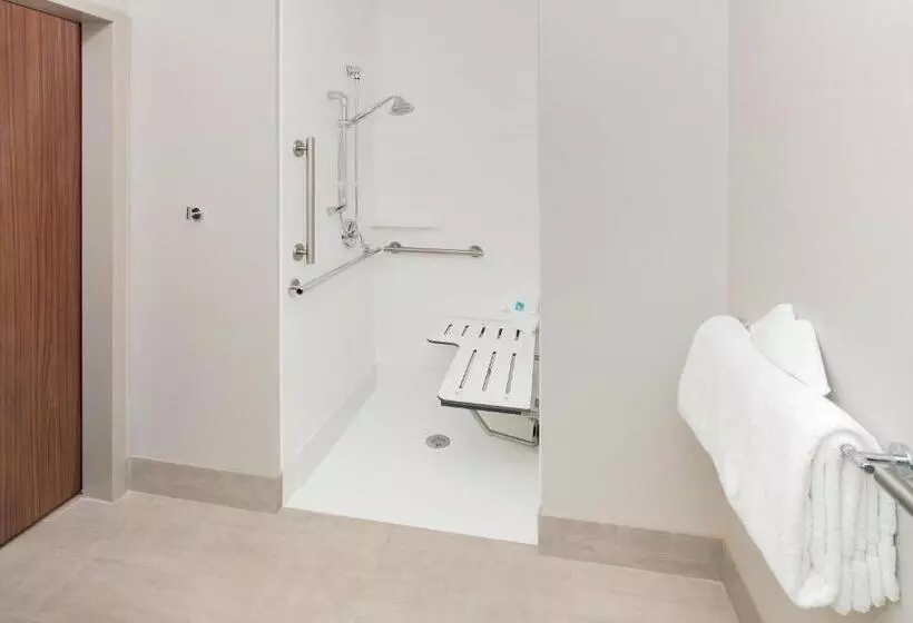 ホテル Holiday Inn Express & Suites   Sterling Heights Detroit Area, An Ihg