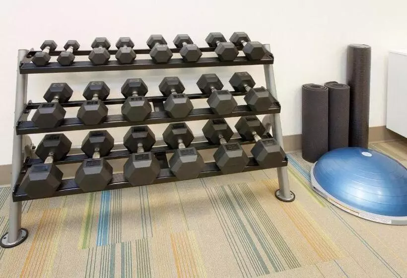 ホテル Holiday Inn Express & Suites   Sterling Heights Detroit Area, An Ihg