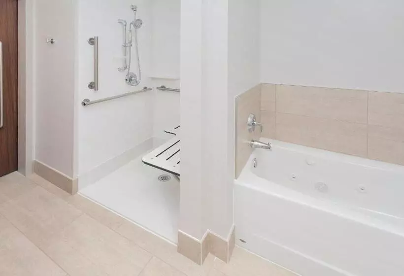 ホテル Holiday Inn Express & Suites   Sterling Heights Detroit Area, An Ihg