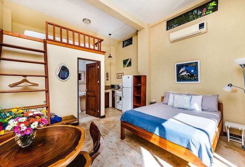 فندق Villa Nautilus