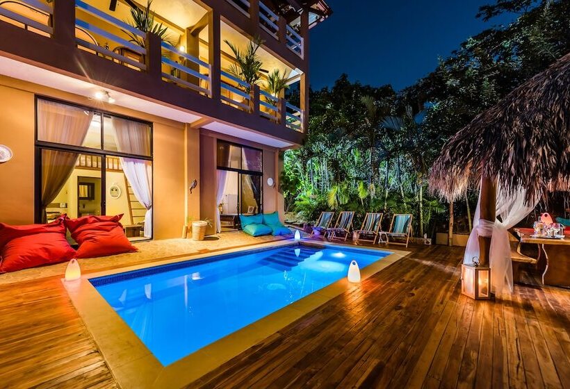 فندق Villa Nautilus