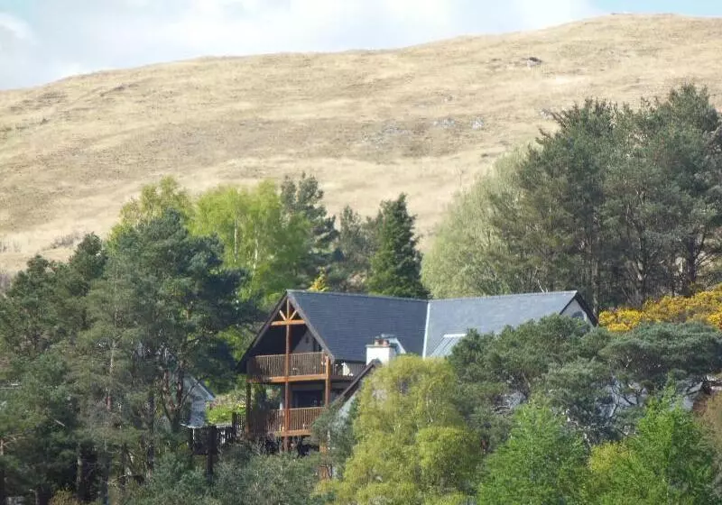 Treetops B&b