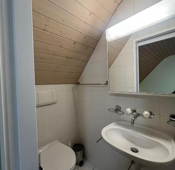 هاستل Niederdorf, Baselland