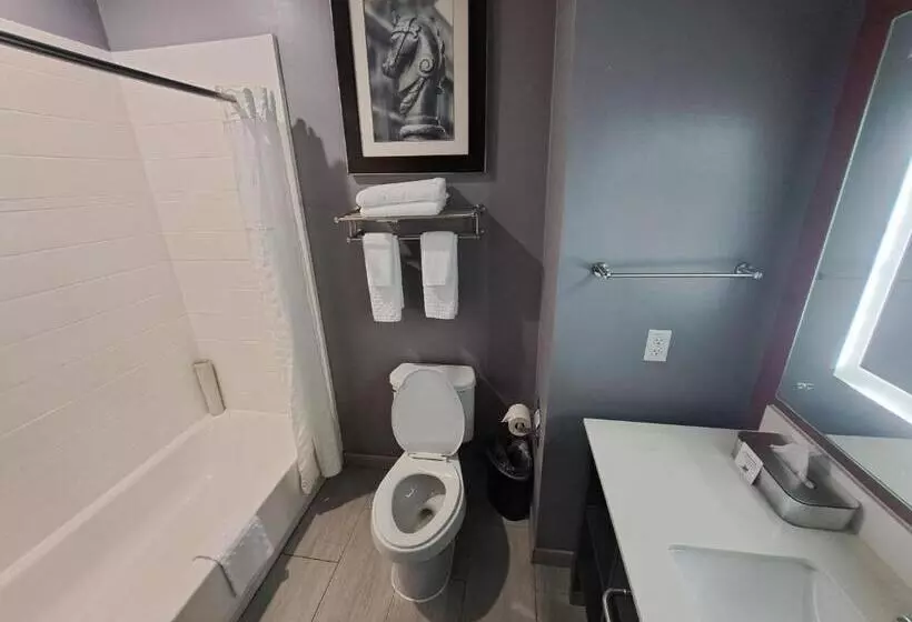 هتل Del Mar Airport Inn & Suites