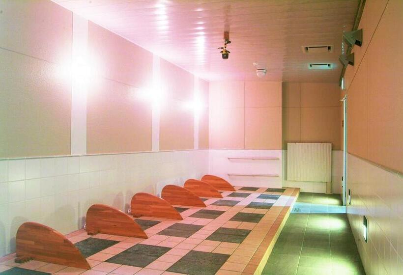 Ryokan Horoshin Onsen Hotarukan