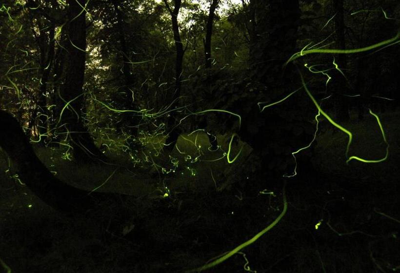 Ryokan Horoshin Onsen Hotarukan