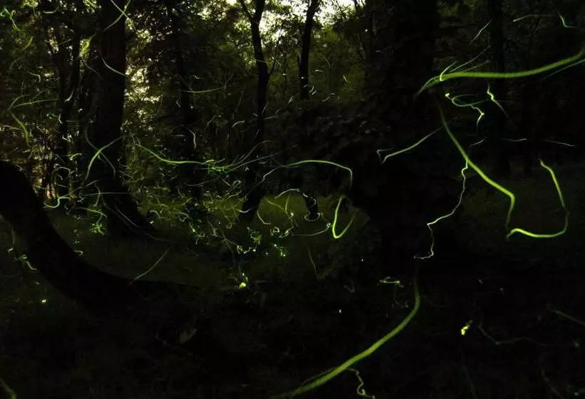 旅館 Horoshin Onsen Hotarukan