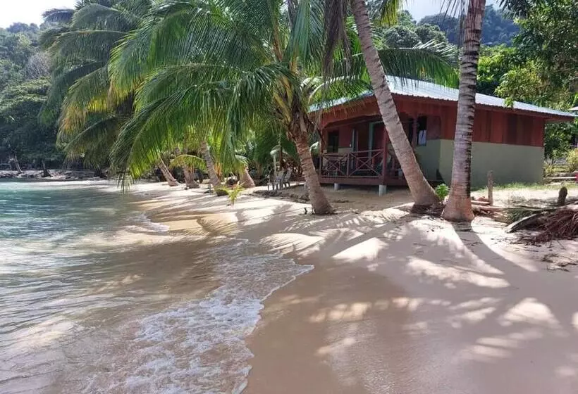ユースホステル Ella S Place Salang Tioman