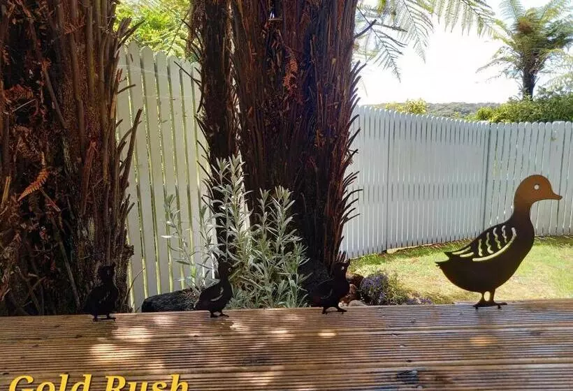 Aamiaismajoitus (B&B) Charleston Goldfields Accommodation