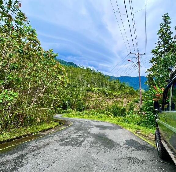 住宿加早餐  Saiheng Cabin Homestay