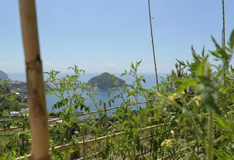 Aamiaismajoitus (B&B) Tenuta Monte Di Panza