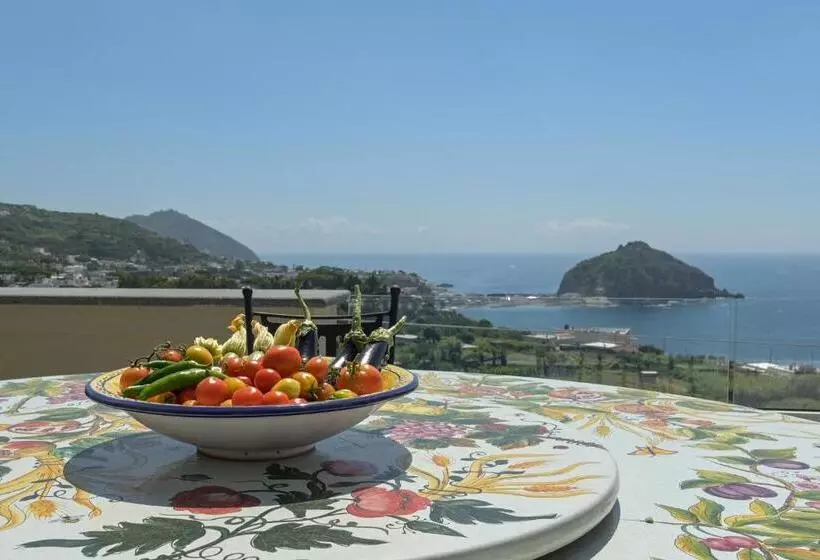 Aamiaismajoitus (B&B) Tenuta Monte Di Panza