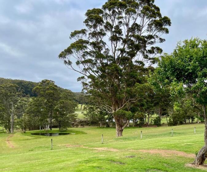 Hotelli Springwood Cottage