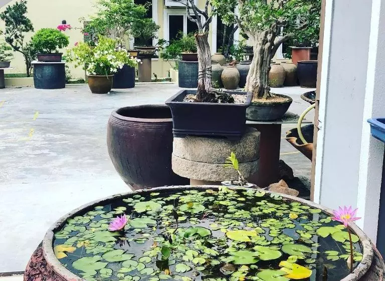 ペンション Bonsai Homestay Kluang   B17