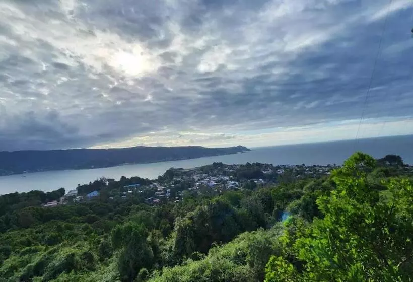 Hostal Torre Del Español