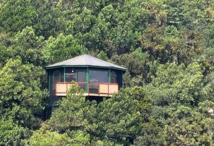 Hostal Torre Del Español