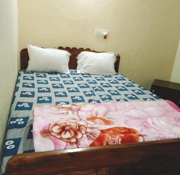 Hotel Chouhan Palace