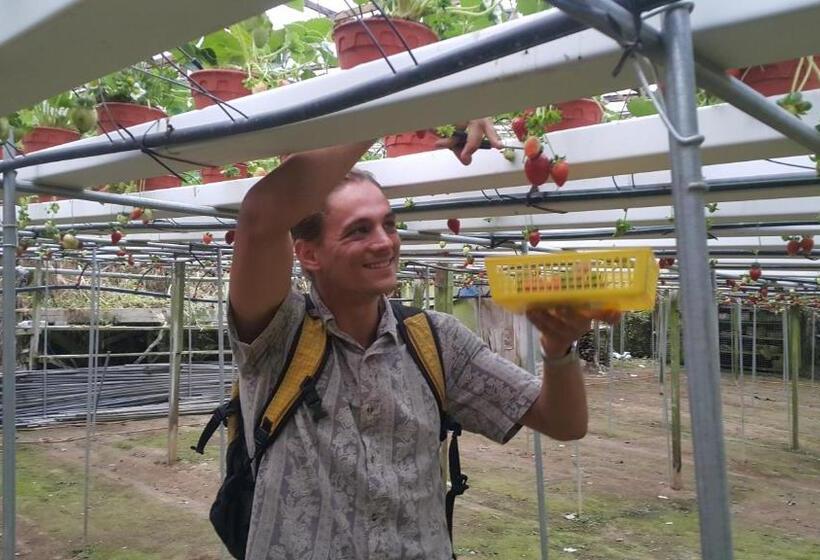 הוסטל Alora Budget Inn