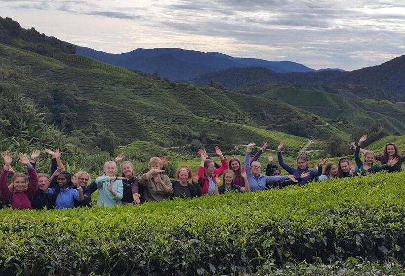 הוסטל Alora Budget Inn