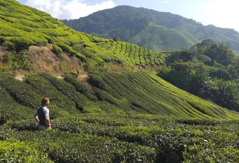 הוסטל Alora Budget Inn