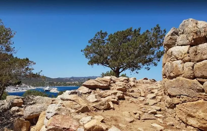 Porto Rotondo Gardens