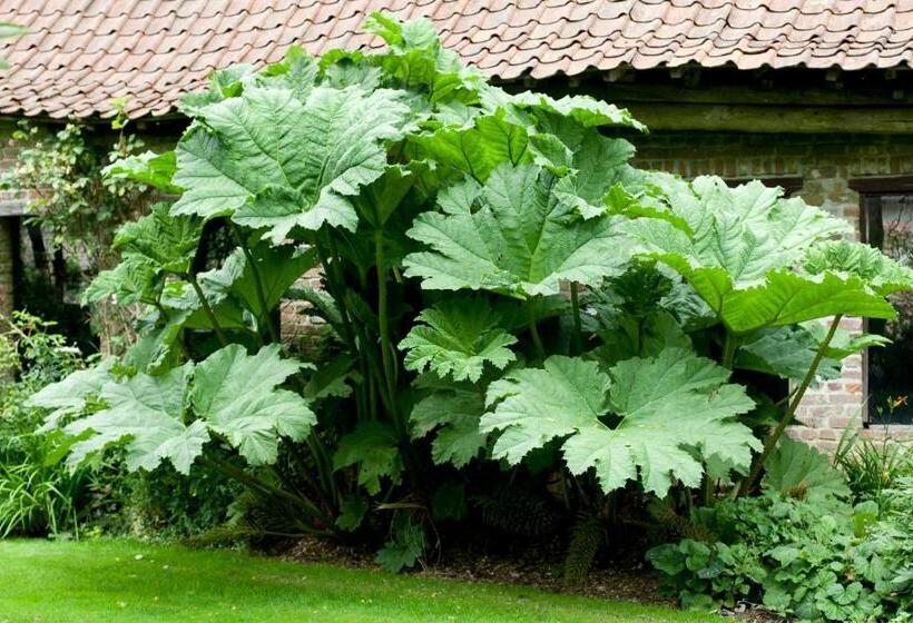 住宿加早餐  La Gran Porte