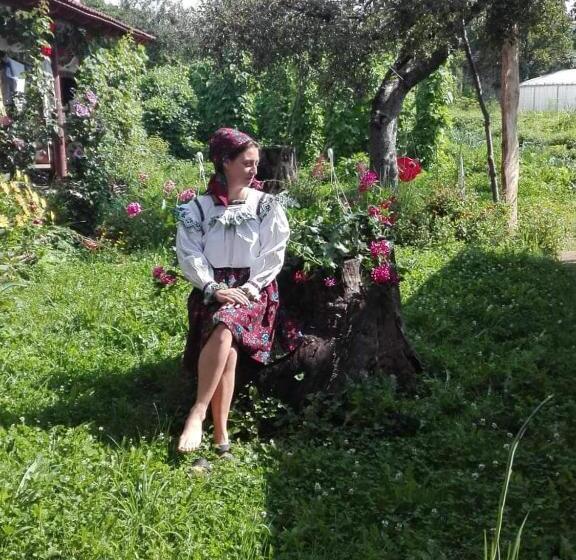 ホテル La Vasile La Cazan