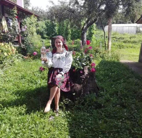 ホテル La Vasile La Cazan