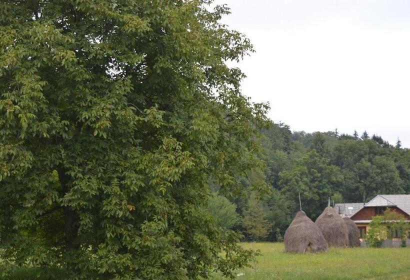 ホテル La Vasile La Cazan