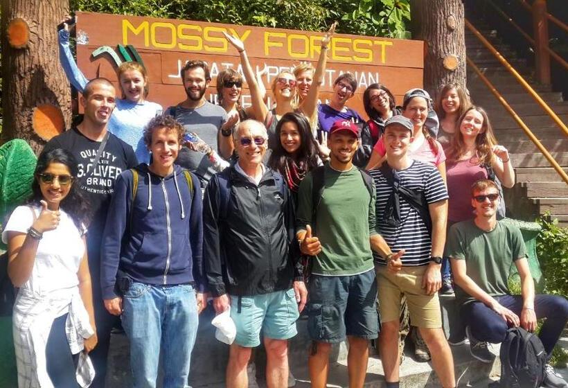 Pensiune A3a Oastel Coliving