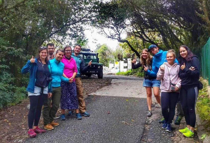 Pensiune A3a Oastel Coliving