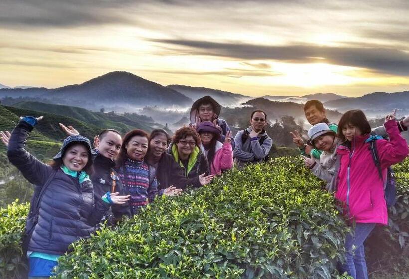 Pensiune A3a Oastel Coliving