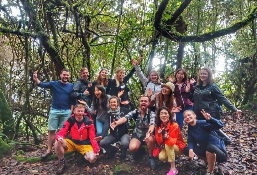 Pensiune A3a Oastel Coliving