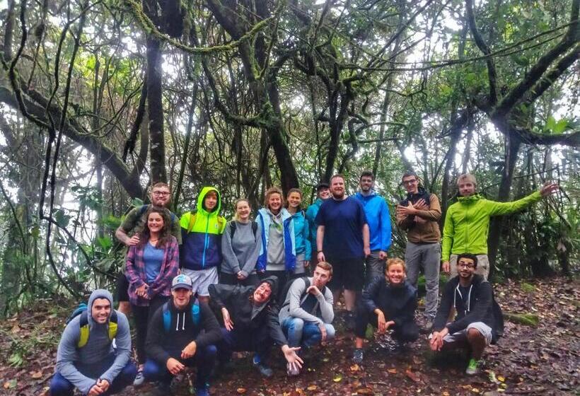 Pensiune A3a Oastel Coliving