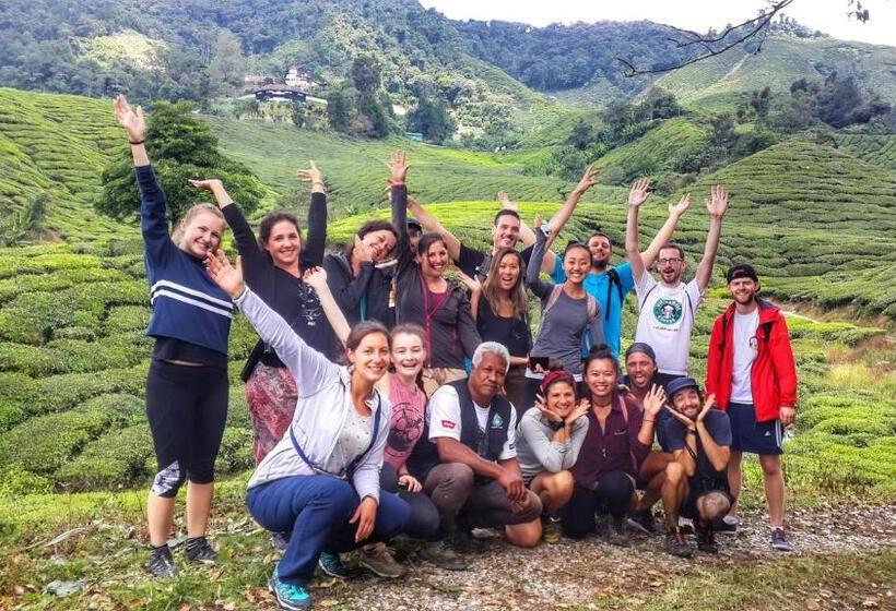 Pensiune A3a Oastel Coliving